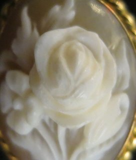 G3274 03F3.jpg